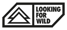 Logo Looking For Wild